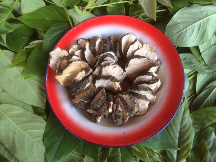 黑玛卡与绿豆、莲子、百合等凉性食材搭配示意图 黑玛卡搭配食材示意图