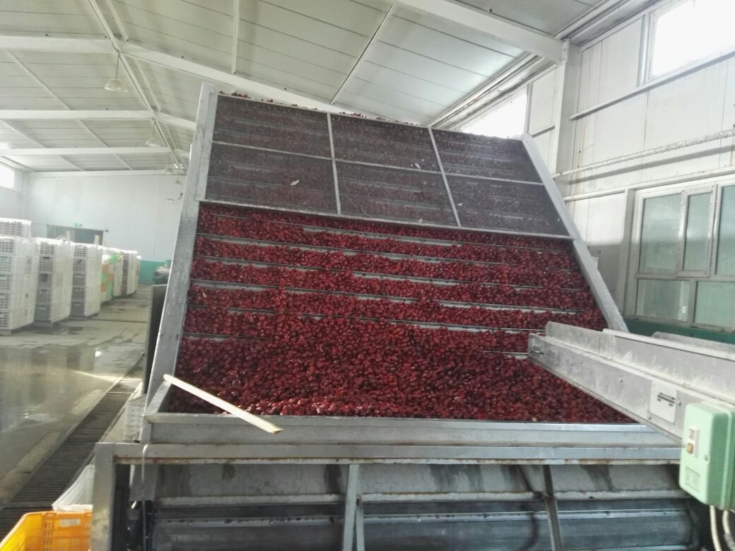展示枣圈从原料清洗到成品包装的全过程工艺流程图解 枣圈生产工艺流程图