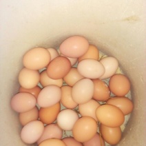 土鸡蛋食用50g以下