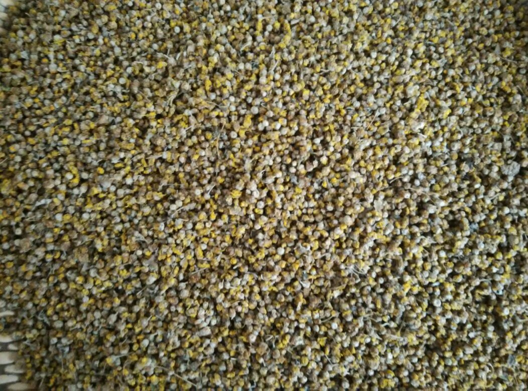 野菊花多种料理组合图