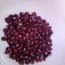 红小豆