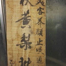 晚秋黄梨450~500g纸袋