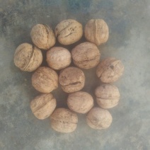 核桃去皮干