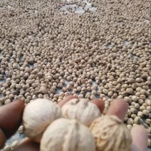 核桃