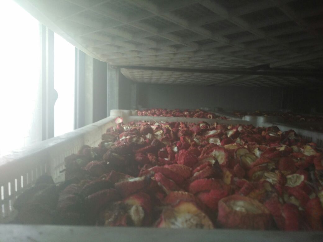 家用烘干机中的山楂干制作过程