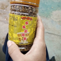 野菊花
