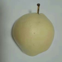 苹果梨200~250g纸加膜