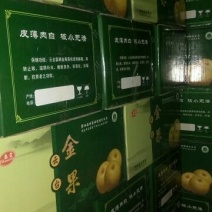 沙澧特晚秋黄梨450~500g纸箱