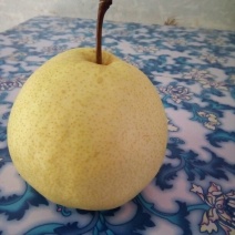 礼泉酥梨200~250g纸箱