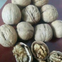 薄皮核桃去皮干