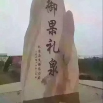 贡梨