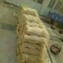 粉丝散装