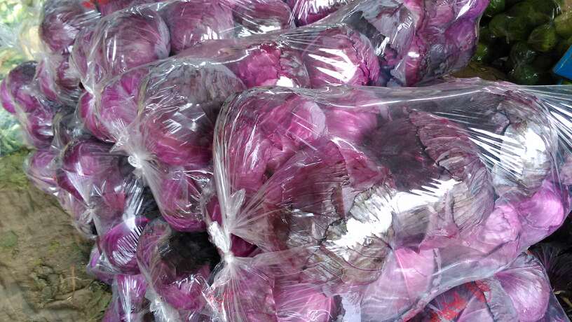 展台上陈列多种紫甘蓝衍生产品:玻璃罐装彩色泡菜、铝箔袋装冻干蔬菜粒、透明瓶装紫甘蓝复合果蔬粉、塑料盒装即食沙拉菜,背景为农业科技展会横幅,观众正在咨询产品信息 紫甘蓝深加工产品展示台