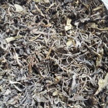 百年大树茶