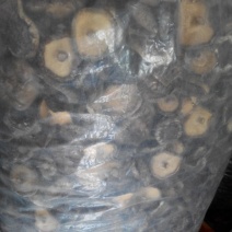 干香菇