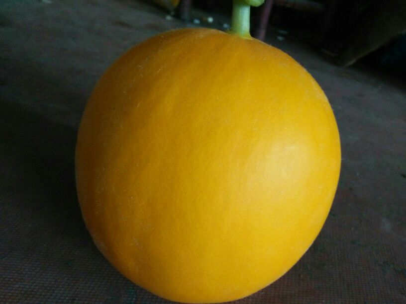一个成熟的翠梨甜瓜放置在木质背景上,果实呈金黄色,表面布满细密均匀的网纹,形状接近圆形,旁边切开一半展示内部淡绿色果肉与小而集中的腔室,果肉饱满有光泽 翠梨甜瓜整体特写
