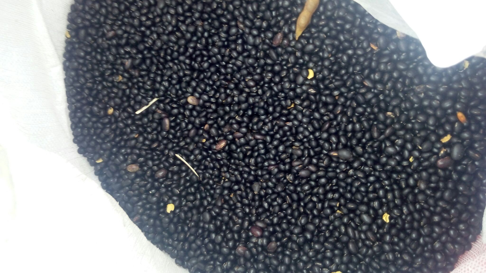 黄心黑豆豆浆成品图