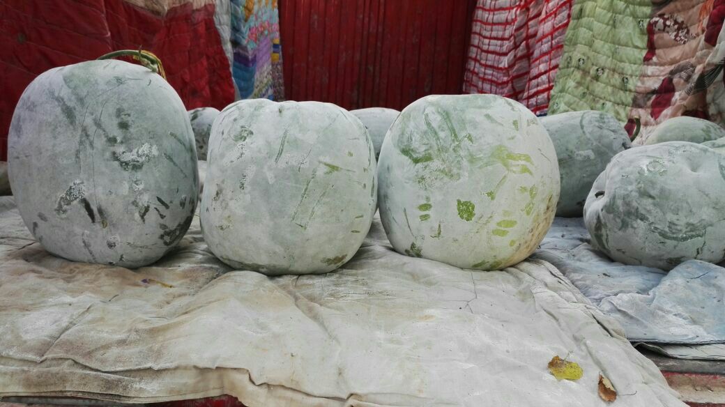 冬瓜瓤和冬瓜皮一起煮水喝的食材展示图