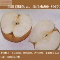 晚秋黄梨200~250g纸袋