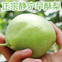 早酥梨200~250g纸箱