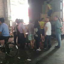 东方密1号哈密瓜2斤以上椭圆形