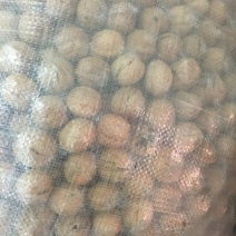 薄皮核桃