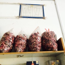 小红菌