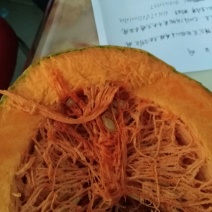 蜜本南瓜4~5斤以上长条形