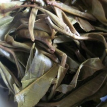 百年大树茶