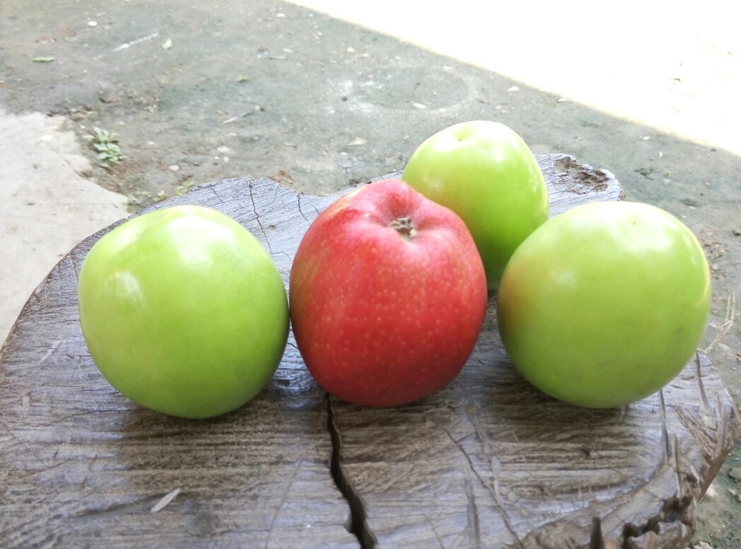 柱状图展示青枣与苹果、香蕉、葡萄等水果的糖分含量对比 青枣与常见水果的糖分对比图表