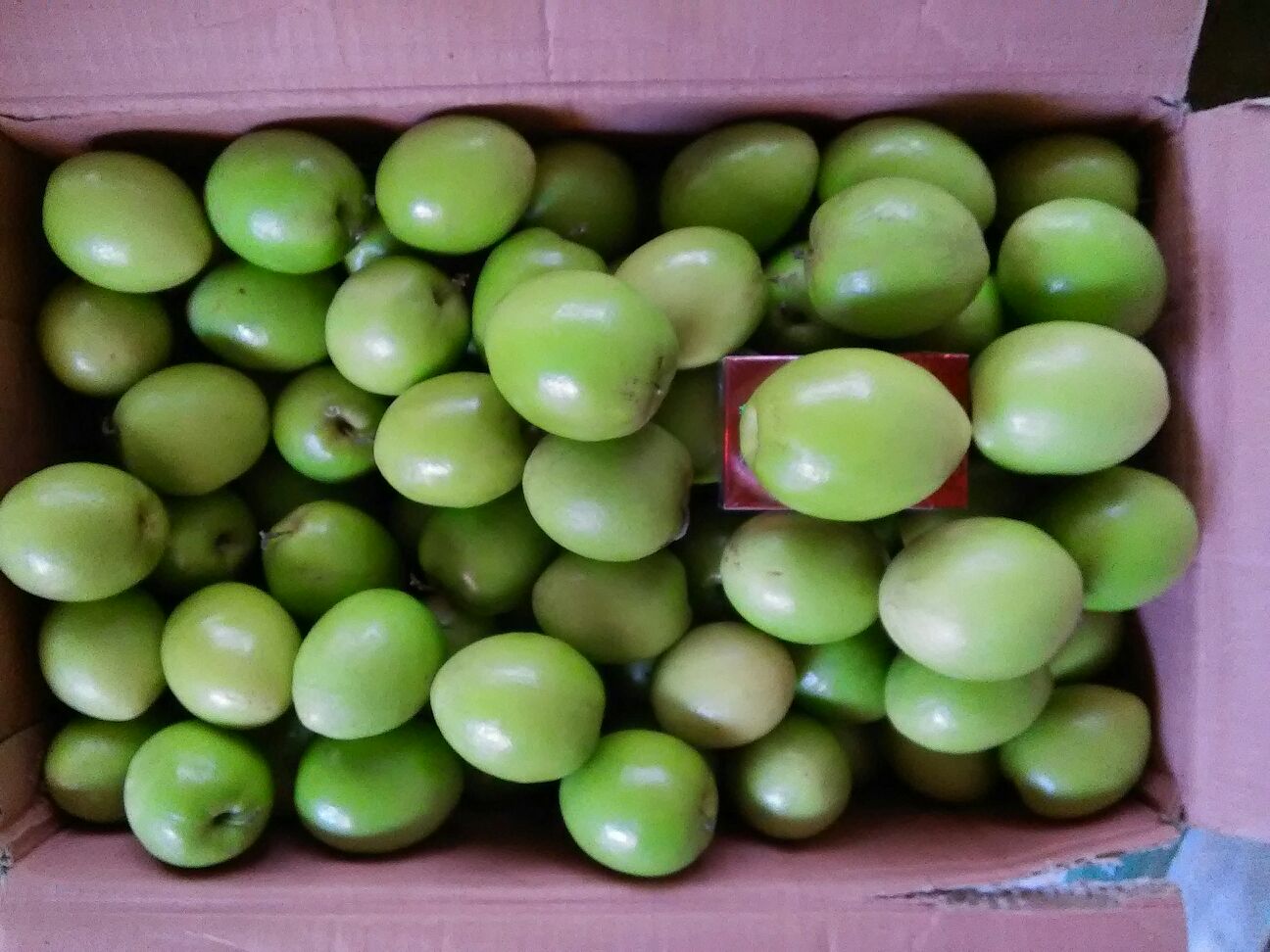 腌制青枣成品展示