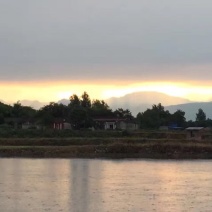 池鲤鱼
