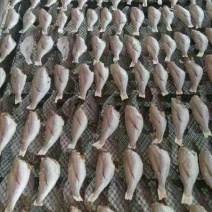 银鱼干