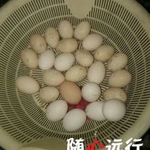 土鸡蛋食用50~60g