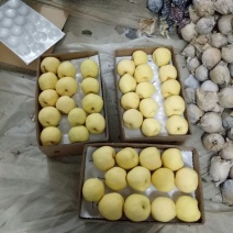 贡梨250~300g纸袋