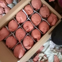 贡梨250~300g纸袋