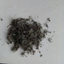 藤茶特级