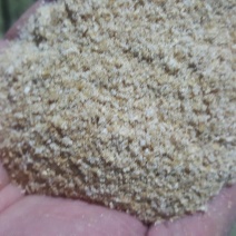 麦麸一级