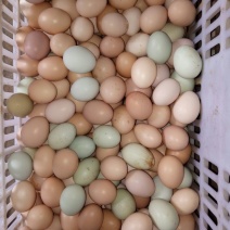 土鸡蛋食用50g以下