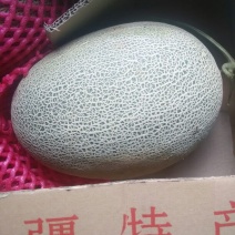 西州蜜瓜5斤以上椭圆形