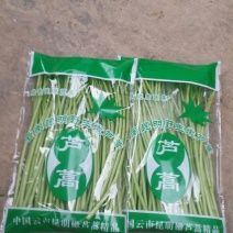 芦篙