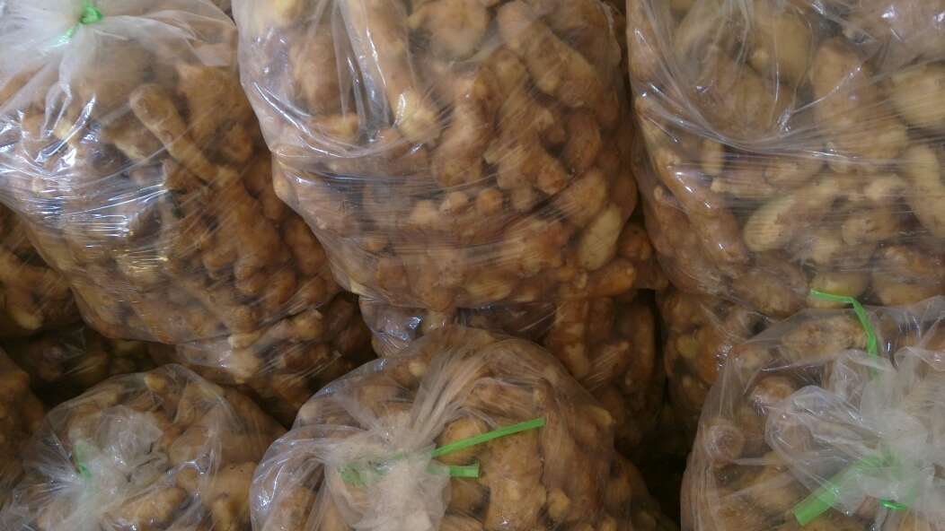 展示不同包装形式的姜面条产品,包括袋装、瓶装和即食小包装 姜面条产品展示