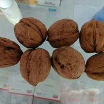 8518核桃40mm以上去皮干