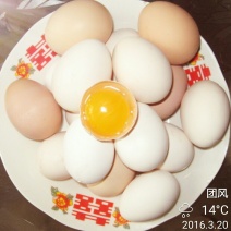 白蛋食用50~60g