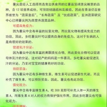 薯尖