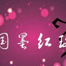 玫瑰花茶