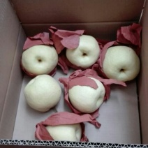 酥梨200~250g纸袋