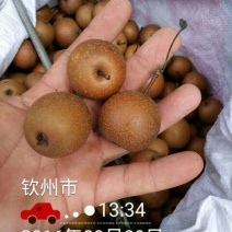 沙梨60~100g膜袋