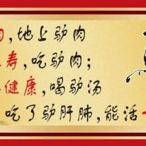 德州驴100~200斤