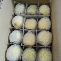 礼泉酥梨200~250g光果